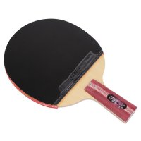红双喜DHS 四星双面反胶 狂飙套胶成品球拍乒乓球拍 4002/4006