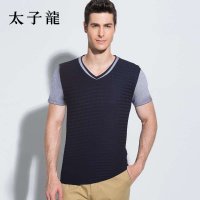 TEDELON/太子龙2015夏季新款时尚V领短袖T恤