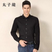 TEDELON/太子龙2015新款男士秋冬简约长袖衬衫