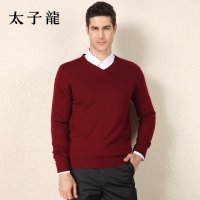 TEDELON/太子龙新款男士秋冬保暖纯羊毛V领毛衫 羊毛衫