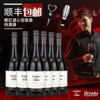 智利进口红酒 干露红魔鬼设拉子红葡萄酒750ml*6 整箱装