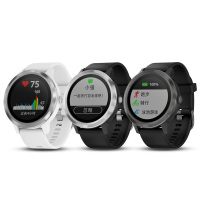 【顺丰发货】Garmin佳明vivoactive3 GPS定位智能运动手表(VA3)跑步骑行游泳来电提醒睡眠监测50防水（遂空黑 PVD镀膜）