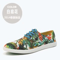想川 夏季透气绣花帆布鞋英伦潮流男鞋男士休闲鞋低帮板鞋单鞋L52