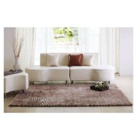 [Hanil Carpet]时代广场设计感斑马真我棕地毯160*230