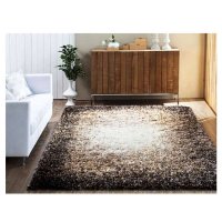 [Hanil Carpet]高级毛绒褐色地毯200*290cm