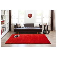 [Hanil Carpet]欧珀红色舒适地毯200×290
