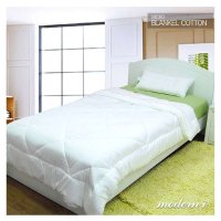 [MODERN.I]克蕾丝棉絮S