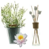 [AROMACO]花束藤条香薰100ml-睡莲香