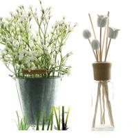 [AROMACO]花束芦苇香熏（竹子 柠檬草）100ml