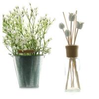 [AROMACO]花束藤条香薰100ml 3件套（睡莲+竹子柠檬草+木瓜）