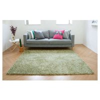 [Hanil Carpet]duo 绿色双人地毯（150*200）一件