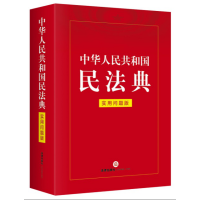 中华人民共和国民法典(实用问题版) 带着问题学习民法典,以民法典解决实务问题