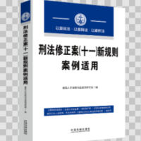 刑法修正案(十一)新规则案例适用 最高人民法院司法案例研究院 中国法制出版社