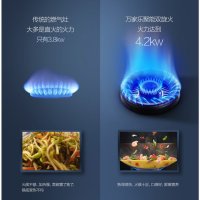 万家乐 K100燃气灶液化气嵌入式台式不锈钢双灶灶具 (液化气）