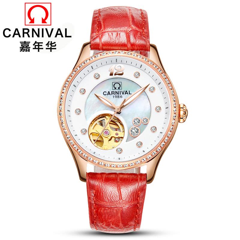 瑞士嘉年华CARNIVAL手表全自动机械表 女表镂空休闲时尚潮流夜光防水镶钻真皮女士表贝母幻彩表盘女神腕表N-0682图片