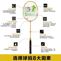 FANGCAN方灿 加重训练羽毛球拍全碳素 专业 带线单拍 业余初级 进攻型男女训练拍
