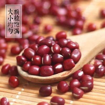 【中华特色馆】龙岩馆 农家红豆 500g 红小豆 赤豆 红豆薏米粥搭档 红豆沙原料 五谷杂粮 远山农业