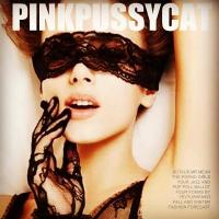 粉红猫蕾丝眼罩蕾丝手套面具面纱夜店派对化妆舞会性感情趣用品成人用品SM玩具