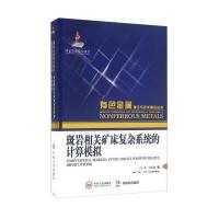 斑岩相关矿床复杂系统的计算模拟