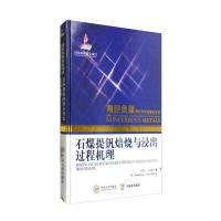 石煤提钒焙烧与浸出过程机理