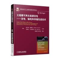 大规模可再生能源发电 发电、输电和存储先进技术