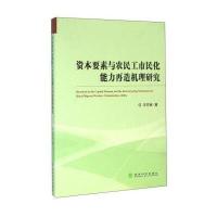 资本要素与农民工市民化能力再造机理研究