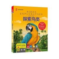 探索鸟类