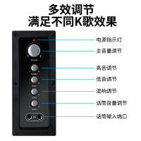 山水(SANSUI) H1家庭影院卡拉OK音响KTV音响组合2.1声道家用卡拉OK 音响电视手机蓝牙音响(不含麦克风)