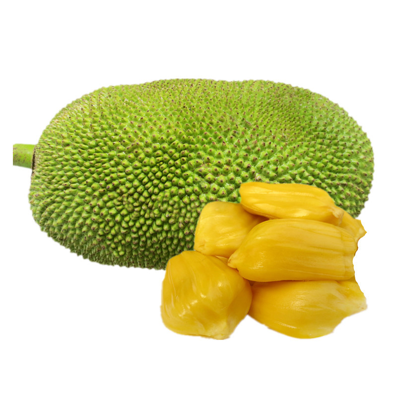 七果果 菠萝蜜1个约23斤 大树菠萝 产发 QQ【水果 国产】QQ