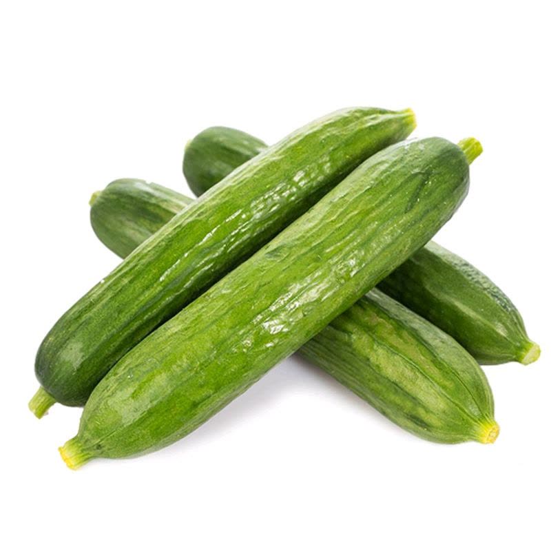 七果果 荷兰黄瓜 2斤 新鲜蔬菜 AS图片