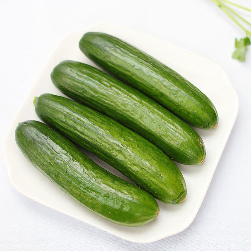 七果果 荷兰黄瓜 2斤 新鲜蔬菜 AS图片