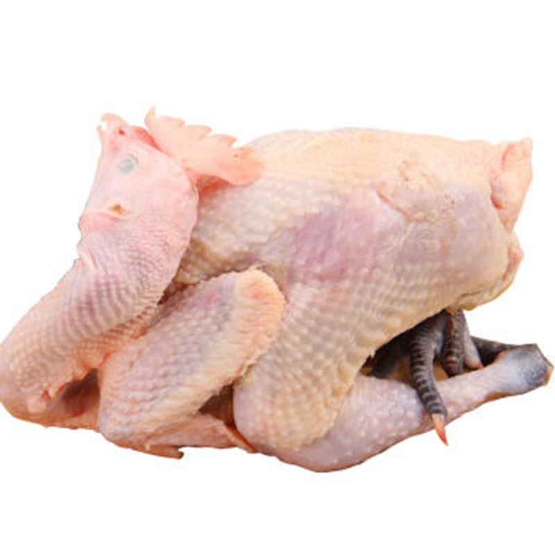 草母鸡 1只 整鸡约2.5斤 退毛留内脏 新鲜鸡肉 CI