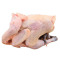 黑脚草公鸡 1只 整鸡约2.5斤 退毛留内脏 新鲜鸡肉 CI