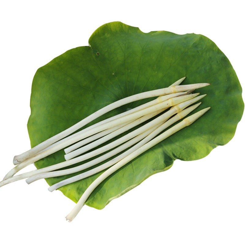 嫩藕带500g嫩藕尖藕肠子藕稍子新鲜蔬菜as