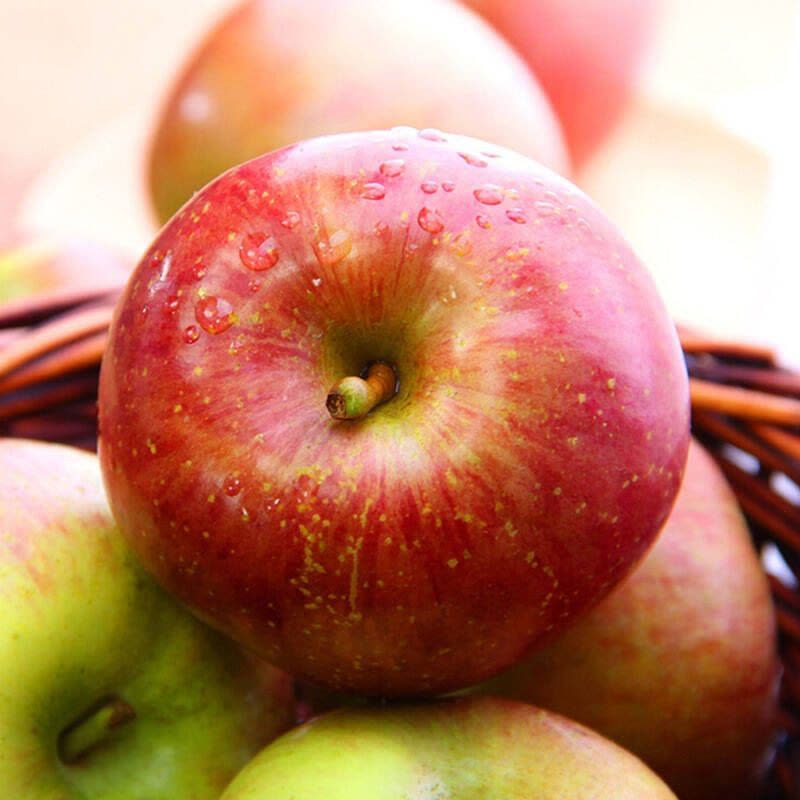 七果果 大沙河红富士苹果10斤 中果 新鲜水果 产发QQ 【水果 箱装】QQ图片