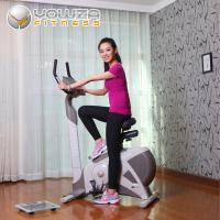 美国优沃YOWZA 嘉年华系列Carniva 家用健身车B500