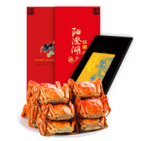 湖畔人家牌阳澄湖大闸蟹礼盒10只装公4.5-4.9两5只母3.0-3.4两5只鲜活大闸蟹礼券2198型