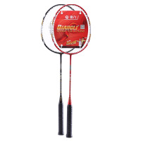 强力 专业羽毛球拍 家庭学生初学情侣拍 碳素进攻型训练拍 2支装 B90-2