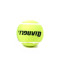 强力 网球 三个装 训练用球 盒装筒装网球 511
