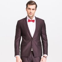 才子男装（TRIES）正装套西 秋冬新款男西服 典雅红色修身婚礼礼服西装