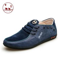 城市骆驼春秋季新款休闲男鞋系带日常平跟鞋时尚舒适男式鞋子