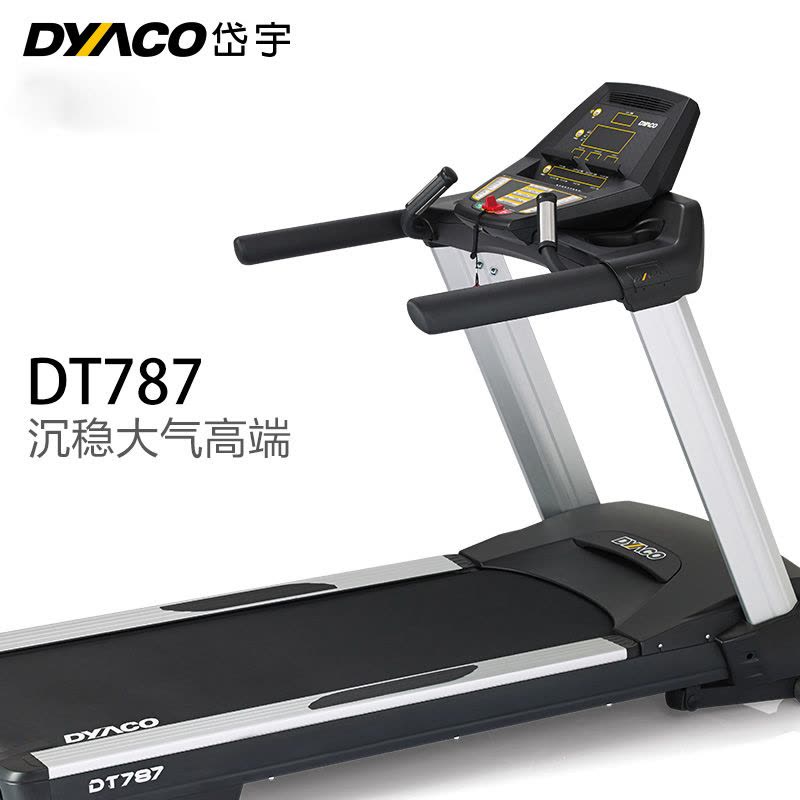 DYACO岱宇DT787家庭款电动跑步机家用款多功能静音减震家用走步机图片