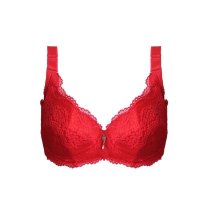 春娜正品 春夏款透气薄杯胸罩 柔软大杯包容侧收副乳女士内衣8255