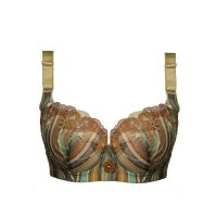 2013新款俏丹娜专柜 白领风韵内衣性感乳头定位聚拢女士文胸罩 7624