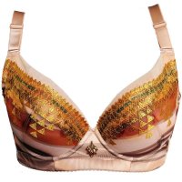 2013新款 俏丹娜正品 聚拢调整型文胸 网纱刺绣薄杯内衣文胸罩 2314