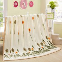 轩蓝仕家纺 加厚云貂绒夏凉毛毯 夏季盖毯春秋毯质感顺滑 每平方380g包边毯子