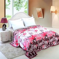 轩蓝仕家纺 升级法莱绒毛毯子 夏凉毯夏毯雪貂绒春秋毛毯绒毯 每平方300g包边毯子