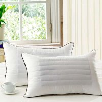 轩蓝仕家纺 天然荞麦两用枕芯 高弹力枕头48*74cm