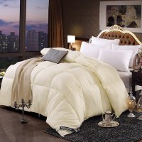 轩蓝仕家纺 保暖秋冬被棉被芯羽丝绒磨毛压花加厚被子被褥 单双人学生被3-8斤