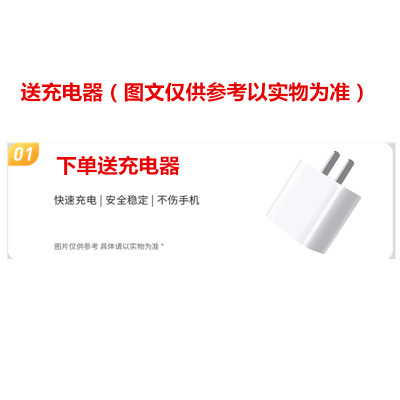 送充电器(图文仅供参考以实物为准)店铺商品专属链接 单独购买 不发 请知悉